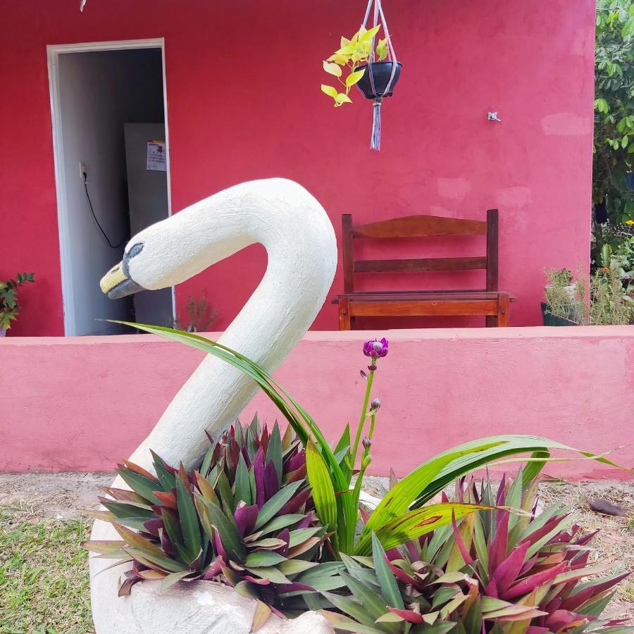 Espaco Slow Living Flor Do Pantanal Piraputanga Bagian luar foto